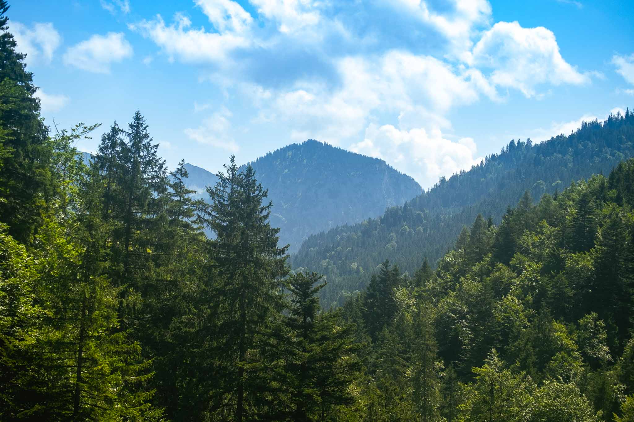Neuschwanstein Castle